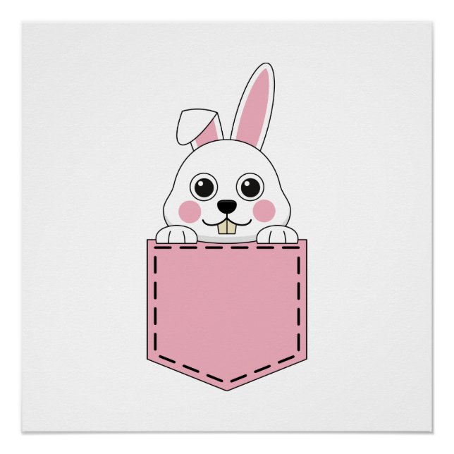 Pocket Pet Bunny Poster (Front)