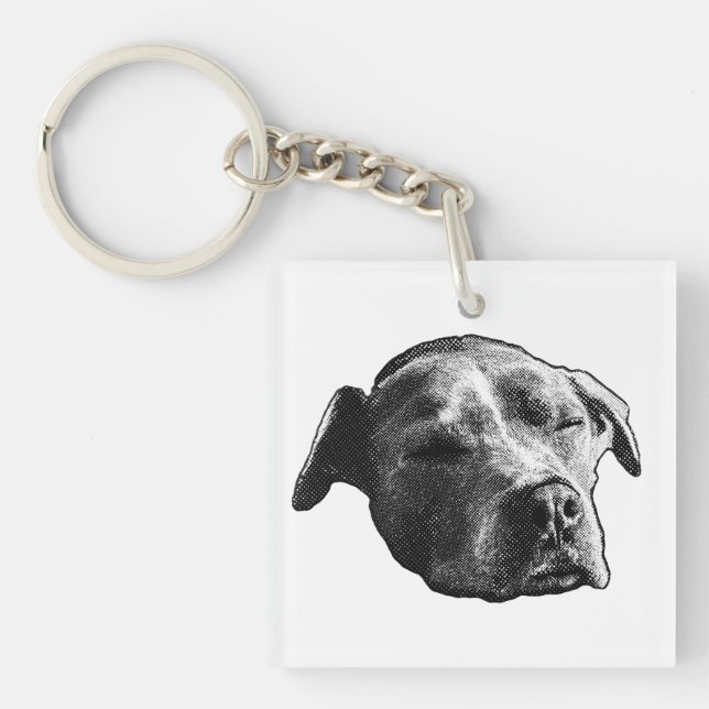 Pocket Quiet Friend Key Ring (Front)