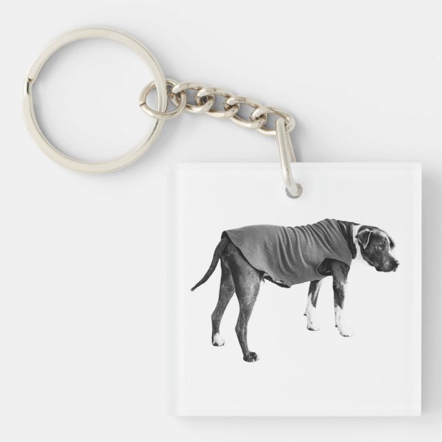 Pocket Vest, Loyal Shape Key Ring (Front)