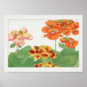 Pocketbook plant by Tanigami Konan Poster