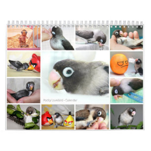 Pocky the cutest lovebird calendar