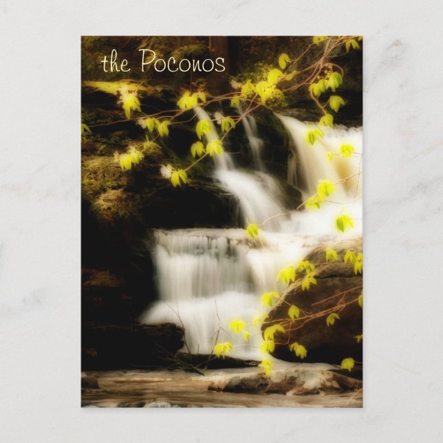 Poconos Springtime Waterfall Scene Postcard (Front)