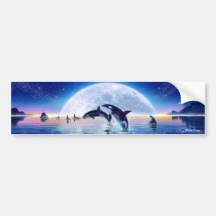 Pod of Orcas Bumper Sticker