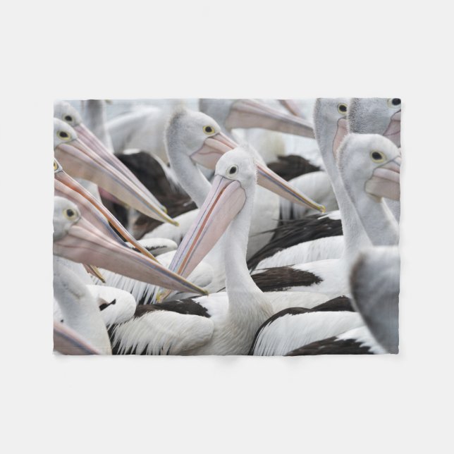Pod of Pelicans Fleece Blanket (Front (Horizontal))