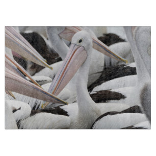 Pod of Pelicans Glass Cutting Board