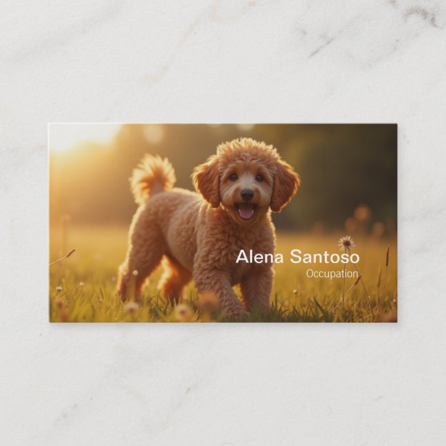 Poddle Dog Business Card (Front)