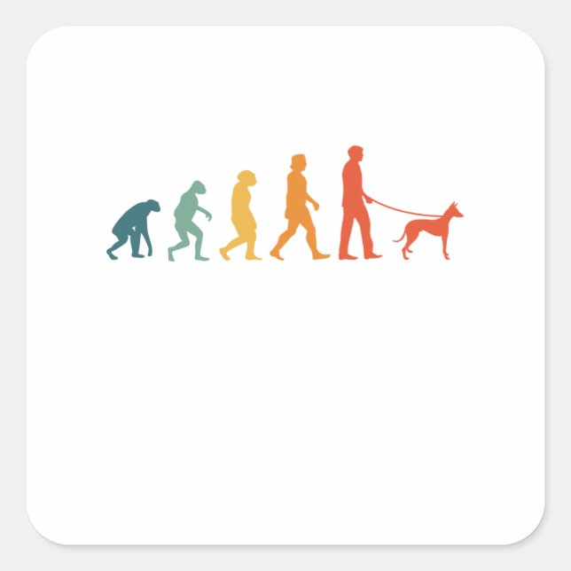 Podenco Evolution Retro Ibizan Hound Vintage Square Sticker (Front)