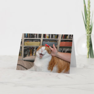 Podgy Scarlett Card