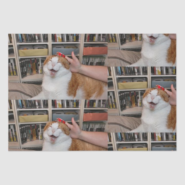 Podgy Scarlett Wrapping Paper (Front)