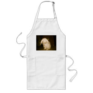 poet long apron