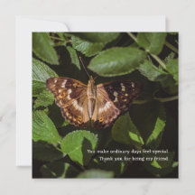 Poetic Butterfly Thank You for Friend