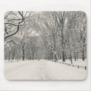 Poet's Walk - Central Park Winter Mouse Pad