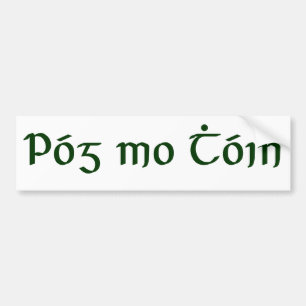 Póg mo Thóin Bumper Sticker