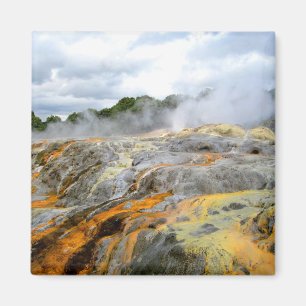 Pohutu Geyser, Rotorua, New Zealand Magnet