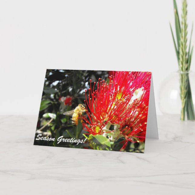 Pohutukawa Bloom Holiday Season Greetings Card (Front)