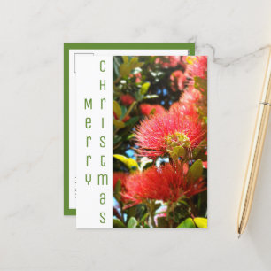 POHUTUKAWA CHRISTMAS FLOWER HOLIDAY COMPANY LOGO POSTCARD
