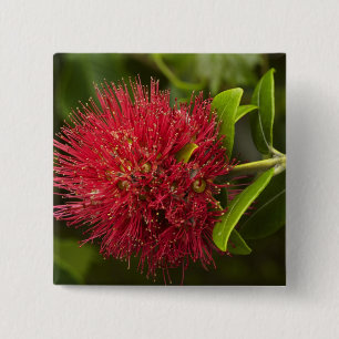 Pohutukawa Flower, Dunedin 15 Cm Square Badge