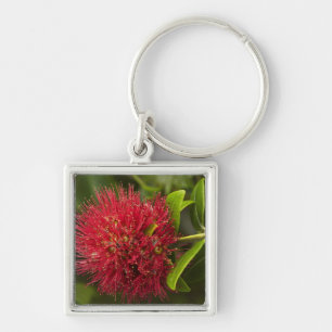 Pohutukawa Flower, Dunedin Key Ring
