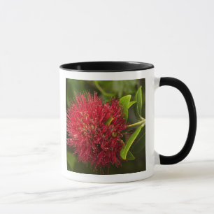 Pohutukawa Flower, Dunedin Mug