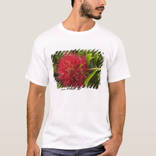 Pohutukawa Flower, Dunedin T-Shirt (Front)