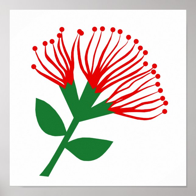 Pohutukawa Flower , New Zealand Poster (Front)