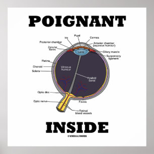 Poignant Eye (I) Inside (Anatomical Eyeball) Poster