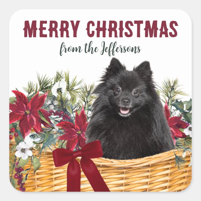 Poinsettia Black Pomeranian Christmas Basket Square Sticker (Front)