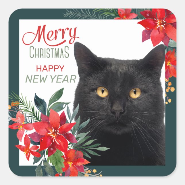 Poinsettia Border Black Cat Christmas Square Sticker (Front)
