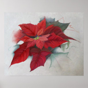 Poinsettia Christmas Oil Painting Poster