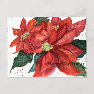Poinsettia Christmas Postcard