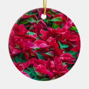 Poinsettia Christmas Tree ornament
