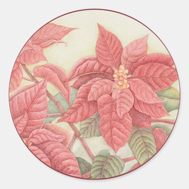 Poinsettia Classic Round Sticker (Front)