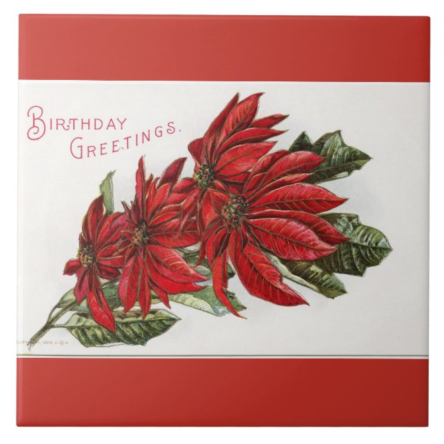 Poinsettia December Birthday Large Square Tile (Front)