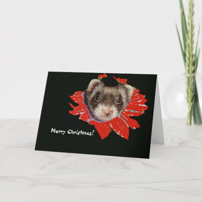 Poinsettia Ferret Christmas Card (Front)