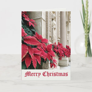 Poinsettia Flowers Merry Christmas Card