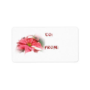 Poinsettia in Red and White Label