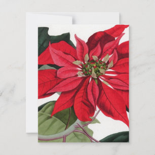 Poinsettia Invitation