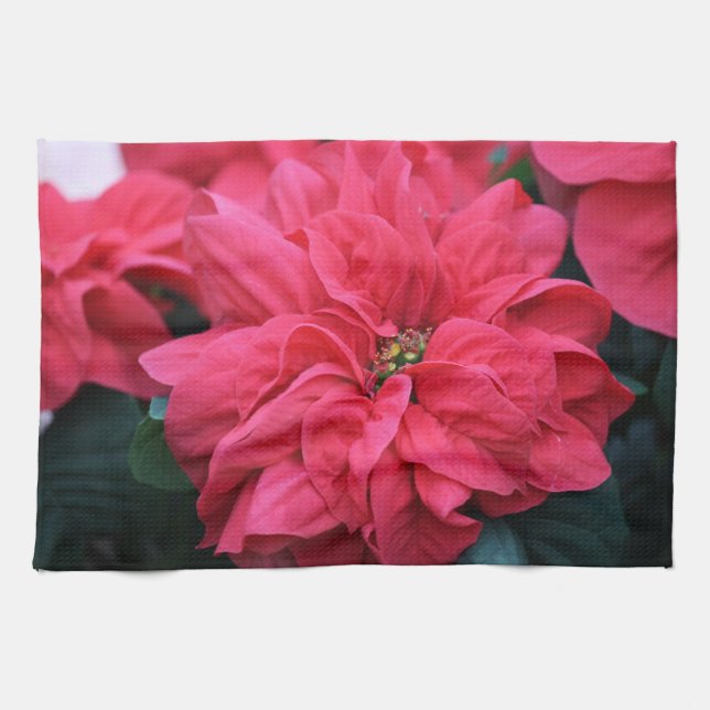 Poinsettia Kitchen Towel (Horizontal)
