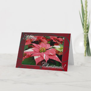Poinsettia Merry Christmas Card