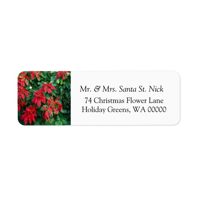 Poinsettia Merry Christmas Card  Mail Labels (Front)