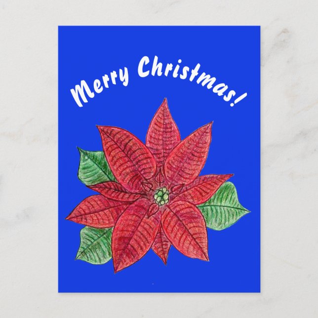 Poinsettia - Merry Christmas Postcard - Blue (Front)