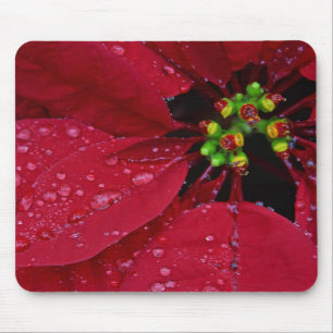 Poinsettia Mouse Pad
