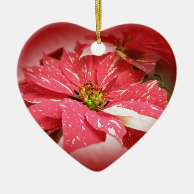 Poinsettia on Red Ceramic Tree Decoration (Front)