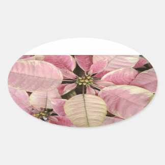 Poinsettia Oval Stickers