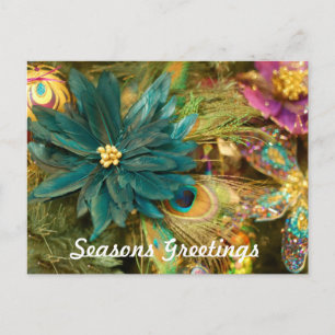 Poinsettia Peacock Feather Christmas Postcard