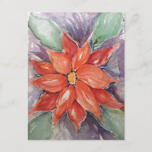 Poinsettia Postcard