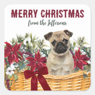 Poinsettia Pug Dog Christmas Basket Square Sticker