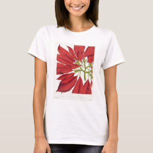 Poinsettia Pulcherrima (colour litho) T-Shirt