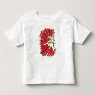 Poinsettia Pulcherrima (colour litho) Toddler T-Shirt