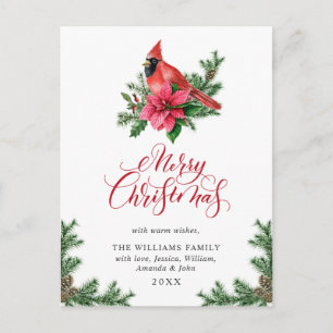 Poinsettia Red Cardinal Christmas Greeting Holiday Postcard